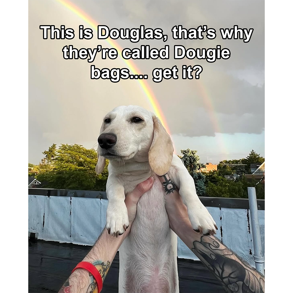 Dougie Bags (ON LIVE ONLY)