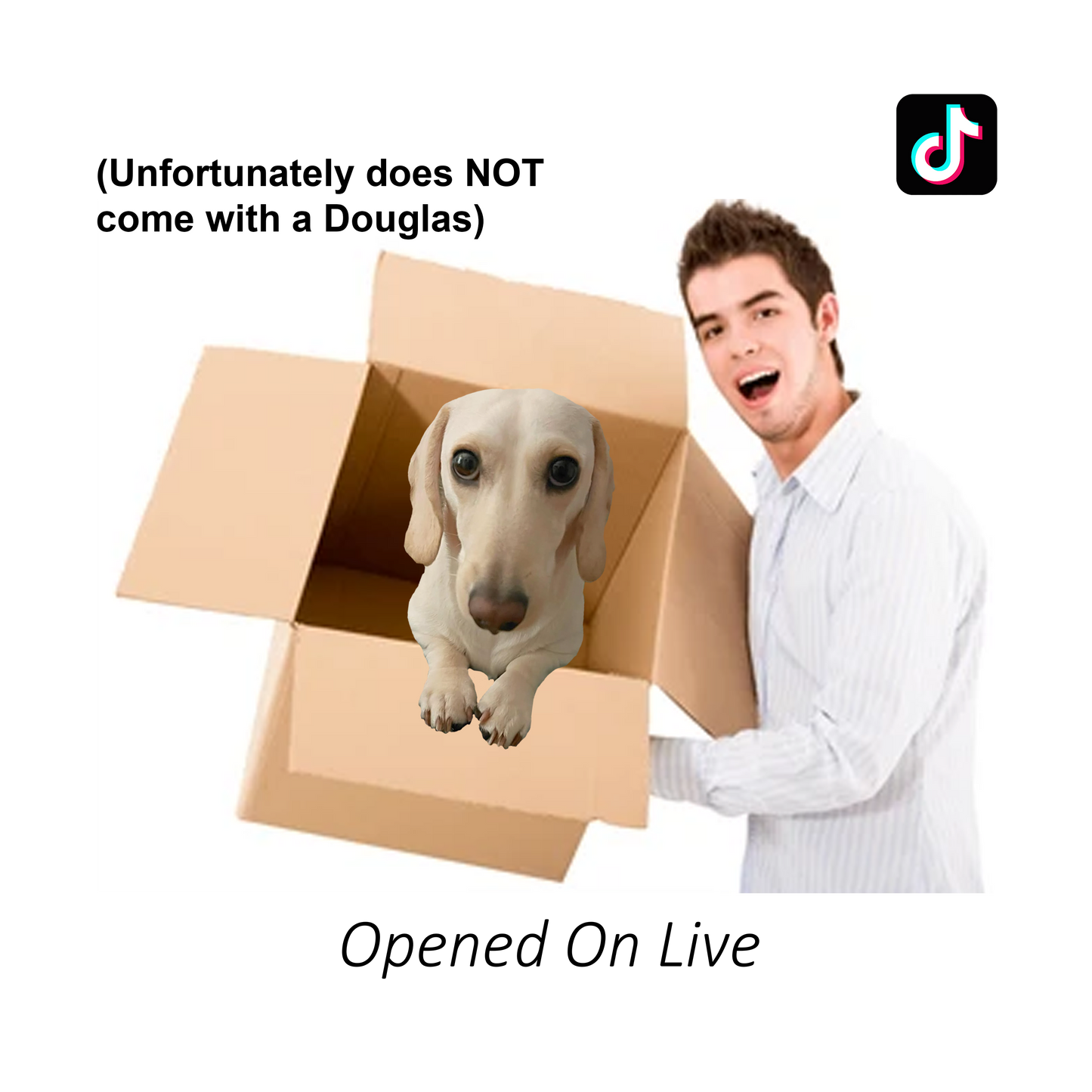 Dougie Pulls (Pull Box)